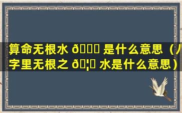 算命无根水 🐈 是什么意思（八字里无根之 🦍 水是什么意思）